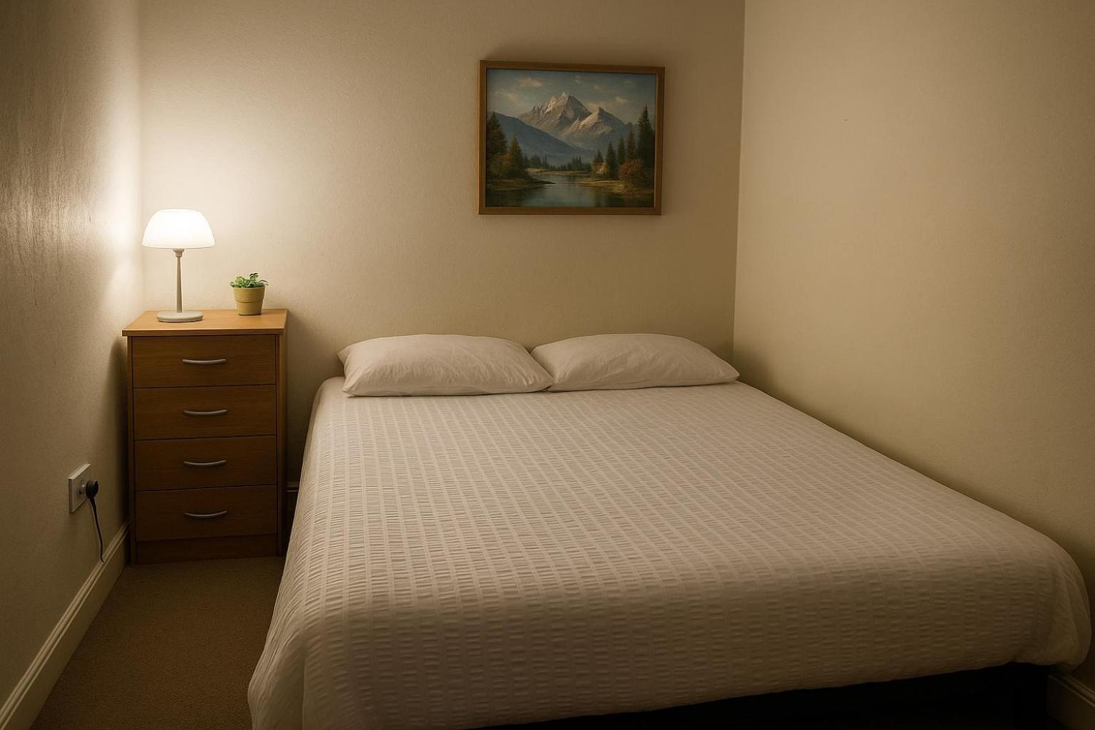 Comfy 2 Bedroom Flat Near City Center Apartment