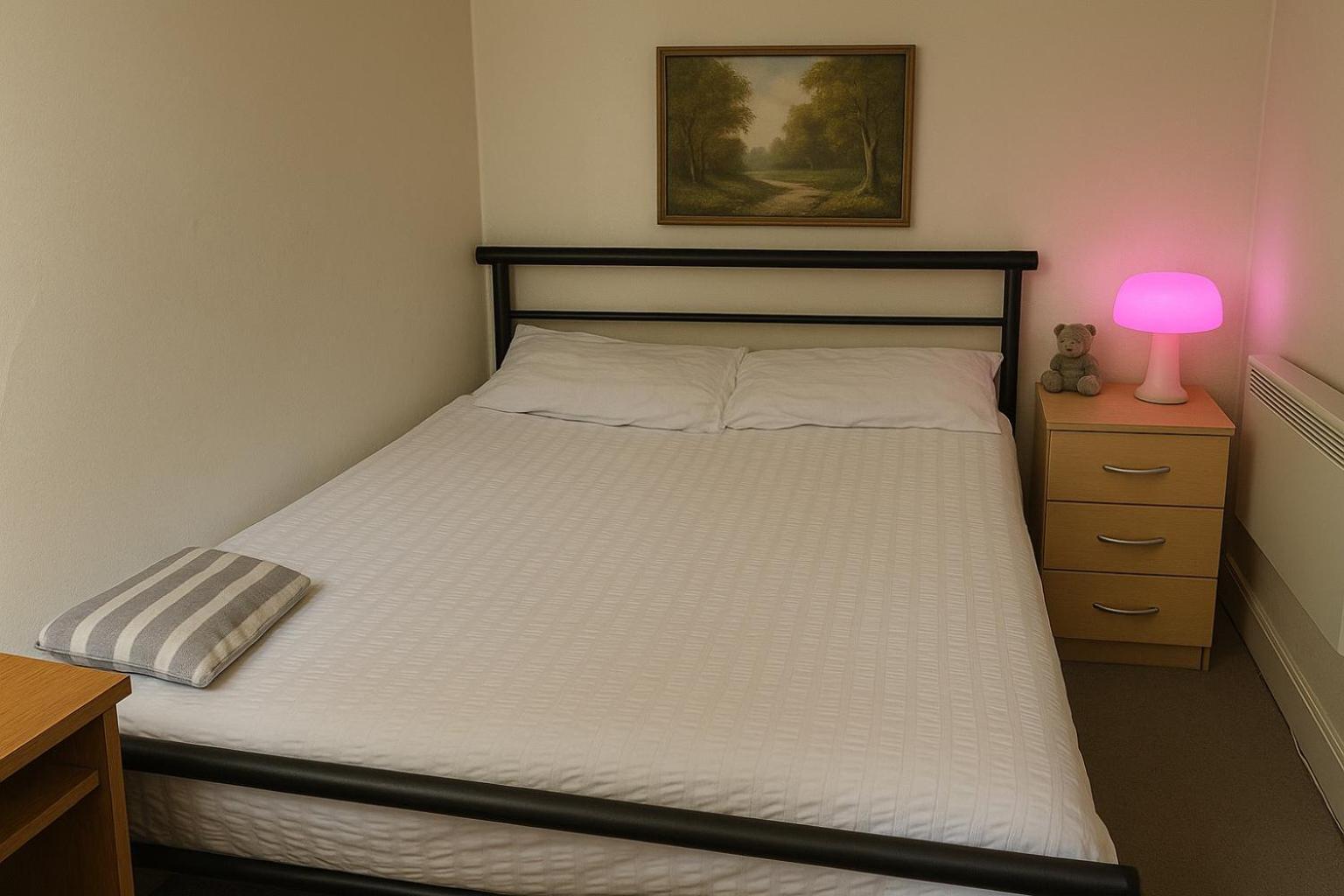 Comfy 2 Bedroom Flat Near City Center *